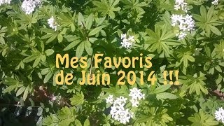 Mes Favoris de Juin 2014 [upl. by Helbonia530]