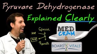 Pyruvate Dehydrogenase Deficiency Explained Clearly  Exam Practice Question [upl. by Elem386]