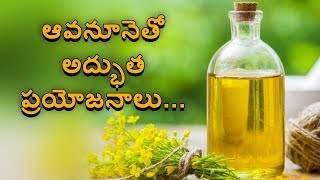 Canola oil benefits and uses [upl. by Ruttger]