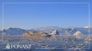 Our cruises in Antarctica  PONANT [upl. by Ennayt]