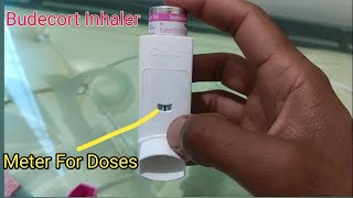 Budecort Inhaler Uses  How to Use Budecort Inhaler  Budecort Pump for Asthma [upl. by Namaj]