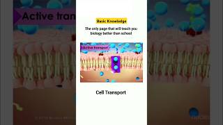 Cell Transport  Active transport Diffusion and Passive transport celltransport कोशिका झिल्ली [upl. by Tengler]