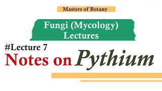 Lecture 7  Pythium  Fungi Mycology Lecture  Notes [upl. by Atiuqat]