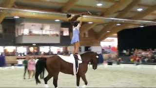 FEI World Vaulting Championships Ermelo 2015  Squads [upl. by Cadel128]