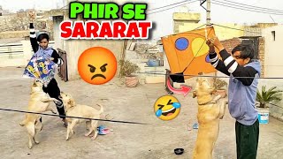 PHIR SE SARARAT 😡😅Shiva Singh [upl. by Greenwell]