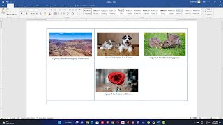 How to insert Images into a table in Word Document [upl. by Ahsaei]