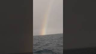 El arcoiris en el mar [upl. by Josefina823]