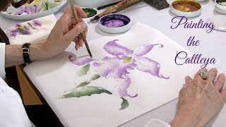 Painting the Cattleya [upl. by Eecart]