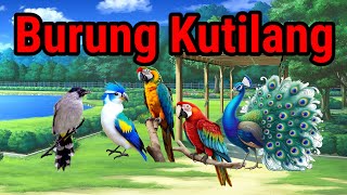 Burung Kutilang Berbunyilagu anak anak [upl. by Elrebma]