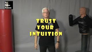 SelfDefense And Your Intuition 1 [upl. by Venus]