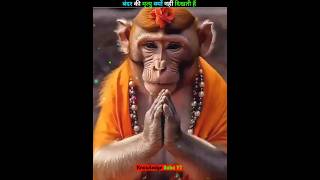 आख़िर बंदर मरते हुए क्यों नहीं दिखते 😱 shorts monkey hanuman ram [upl. by Eisaj]