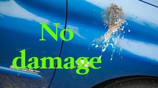 How to remove bird droppings amp poop from car body paintwork [upl. by Lattimer69]