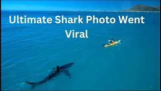 How the Ultimate Shark Photo Went Viral [upl. by Araek]