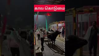 மாட்டு வண்டிக்கு toll gate வரி கட்டனும  Toll Gate  கால கொடுமை  Toll Parithabangal  bjp modiji [upl. by Kirsch]