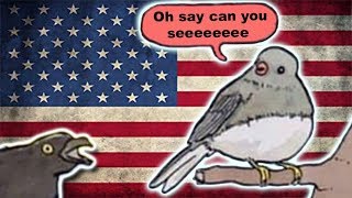 Annoyed Patriot Bird [upl. by Hoyt770]