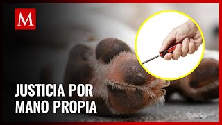 Vecinos apuñalan a chofer de autobús por atropellar a un perrito [upl. by Ylurt]