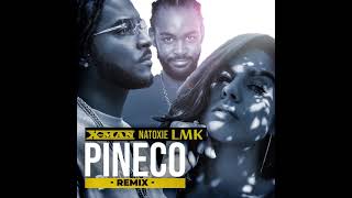 XMAN Ft LMK amp NATOXIE  Pineco Remix [upl. by Sedberry]