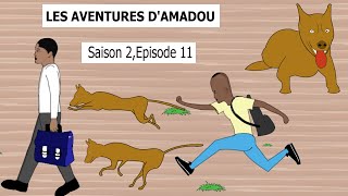 Les Aventures dAmadouSaison 2 Episode 11 [upl. by Bithia]