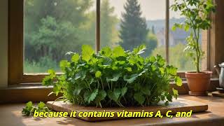 Health Benefits of Coriander [upl. by Neil]