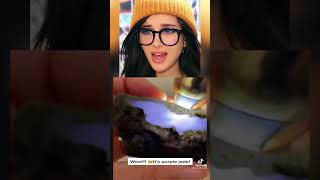 SSSniperWolf Clip 816 Lucky People who Avoided Close Calls shorts fyp viral [upl. by Aroon464]