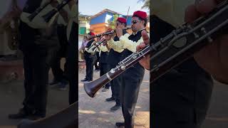 Marathi movie song  brass band  Vasaikar band brassband shorts vasai [upl. by Ajani]