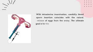 Ici Home Insemination Kit [upl. by Alitta]