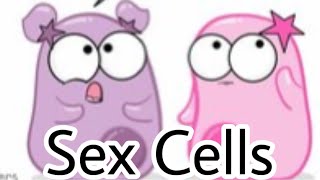 I edited The Amoeba Sisters [upl. by Bergerac476]