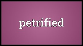 Petrified Meaning [upl. by Bret]