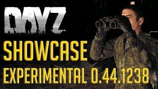 DayZ Experimental  0441238 Showcase  Crossbow  Binoculars  Physics [upl. by Lapides]