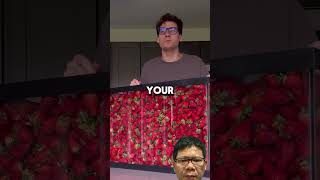 He broke the record of eating strawberries funny comedy memes viralvideoPossibleGuy [upl. by Putscher]