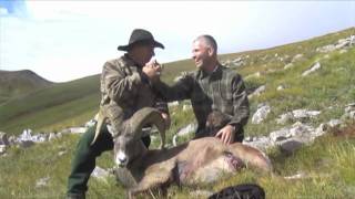 Rocky Mountain Big Horn Sheep Hunt 2010 [upl. by Marja924]