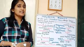 Malarial Parasite morphology Life cycle in hindi Pathogenesis in hindi Lab diagnosis [upl. by Esyned]