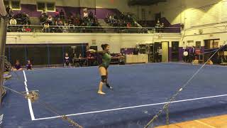 Girls Gymnastics Glenbard West vs Downers Grove North [upl. by Roybn]