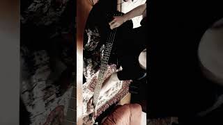 Буерак  Кожаные туфли bass cover shorts basscover буерак [upl. by Ayel]