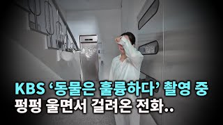 KBS 동물은 훌륭하다 촬영 중에 펑펑 울면서 걸려온 전화 [upl. by Erbes]