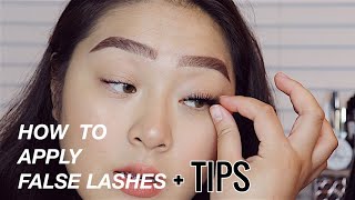 How to Apply False Lashes for Beginners  tips and tricks for Hooded Eyes  EyesOnJess [upl. by Stillman]