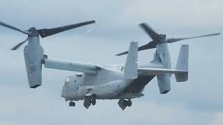 Spectacular V22 Osprey Flyby Mesmerizing Aerial Display at the Airshow London [upl. by Sophi]