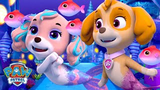 Skye Meets Her Mermaid Cousin Coral in Puplantis w PAW Patrol Zuma amp Chase  Shimmer and Shine [upl. by Gerti]