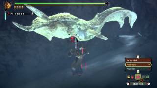 MH3U Ceadeus  HBG Run [upl. by Flodnar]