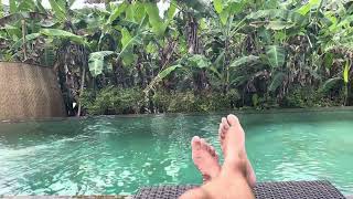 Ubud Bali Indonesia GuidePrice Channel Ubud Bali Indonesia BestPricesGuide [upl. by Ryley]