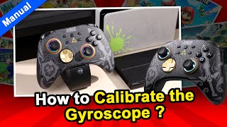 How to Calibrate the Gyroscope of IINE Ares Controller👀 [upl. by Ojeitak]