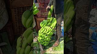 Banana 🍌 Cutting and packing part 130 [upl. by Bagger613]