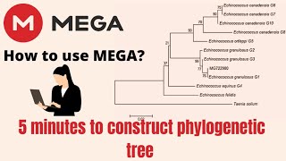 How to construct phylogenetic treeHow to use MEGA What is MEGAPART 2PART1 is in description [upl. by Ramej]