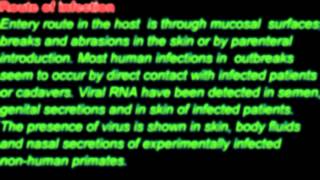 PCR Test for detection and treatment of Ebola Virus Genekam [upl. by Tobie73]