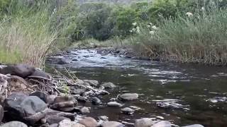 Moments in Nature Blyde River Part 4 South Africa [upl. by Nolitta551]