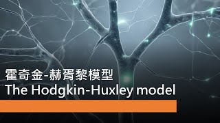 腦與計算  L333 The HodgkinHuxley model 霍奇金赫胥黎模型 [upl. by Cesar]