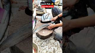 Ye dekho gays lanchi fish amezingfish youtubeshorts youtubeshorts amazingfish  amezingfish [upl. by Philis452]