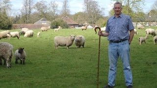 Introduction  The Shepherds Guide to Sheep Farming for Big or Small Flocks HD [upl. by Ayojal202]