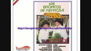 los broncos de reynosa  la oveja negra [upl. by Aiepoissac]