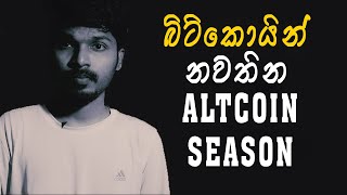 Bitcoin Vs Altcoins Which Is The Better Investment  Altcoin season  SINHALA [upl. by Soalokcin151]